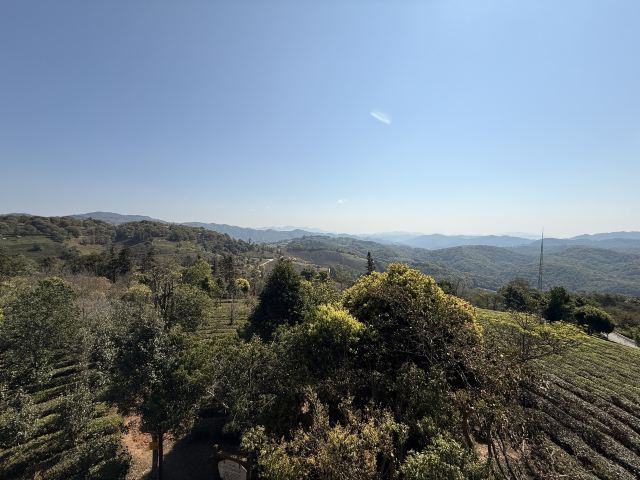 中华普洱茶博览苑旅行图片 1