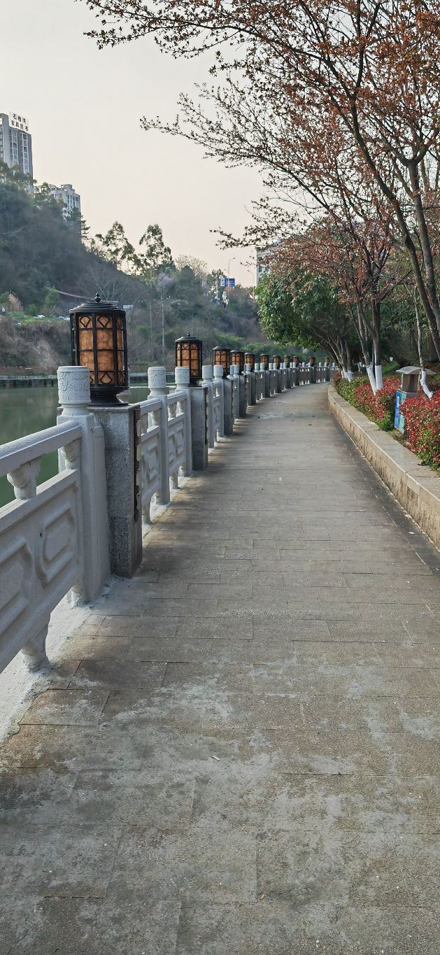 苏仙湖公园旅行图片 14