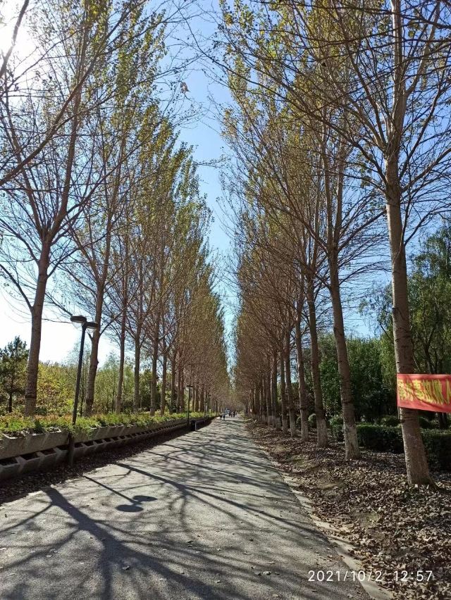 长春国际汽车公园旅行图片 2