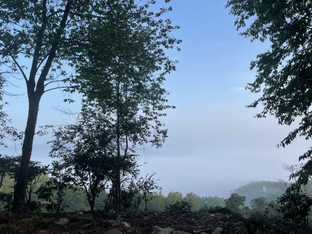 濮云境观景台旅行图片 2