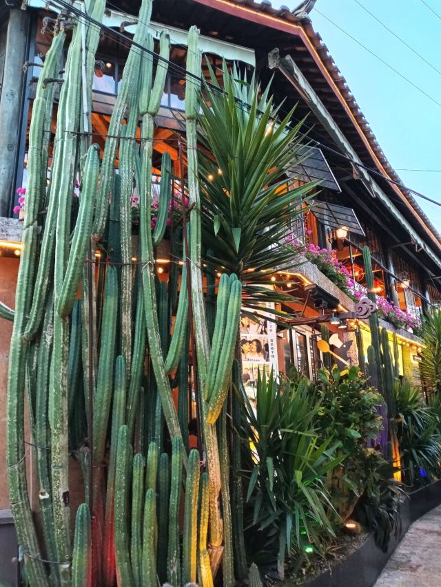 束河古镇旅行图片 2