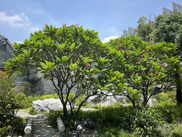 梁园旅行图片 6