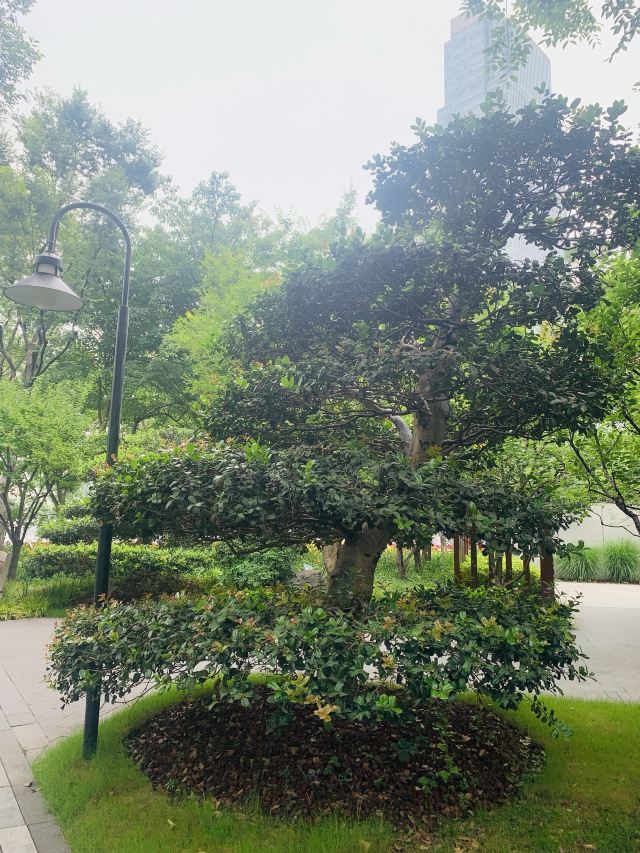 静安雕塑公园旅行图片 2