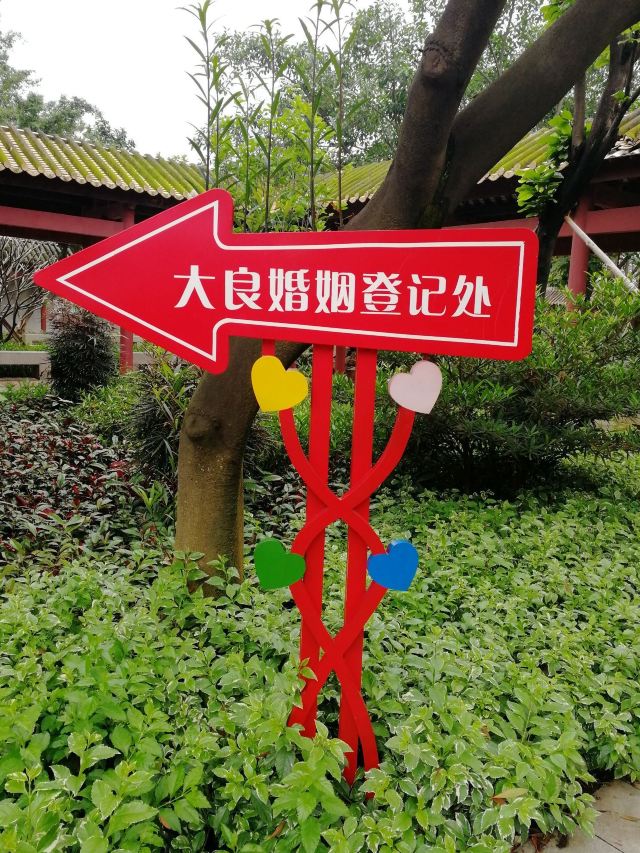顺峰山公园旅行图片 1