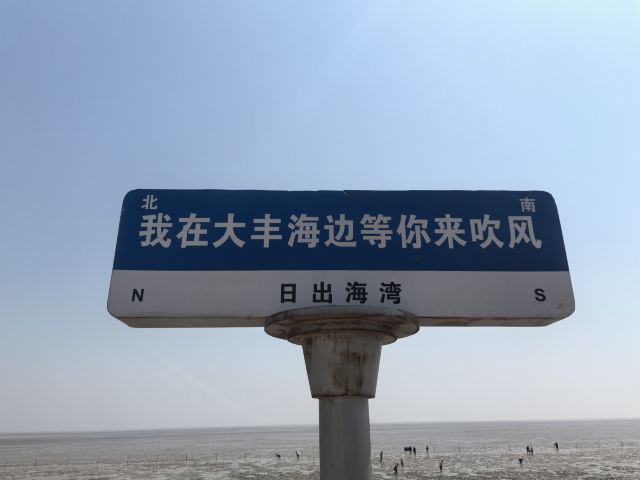 日出海湾旅行图片 7