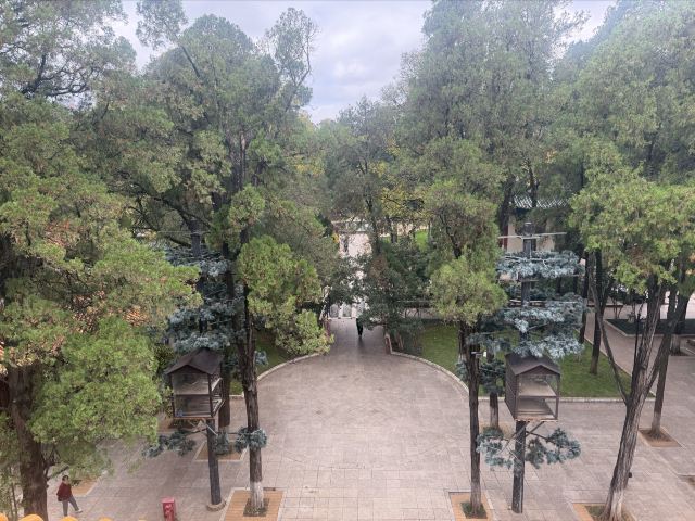 大观园旅行图片 6