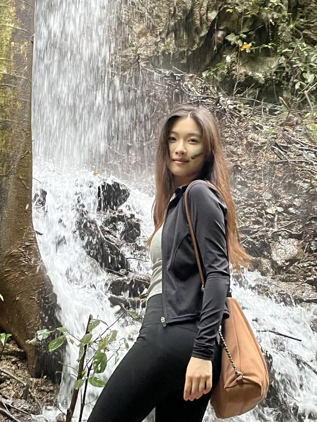 基诺山幽河谷雨林旅行图片 3