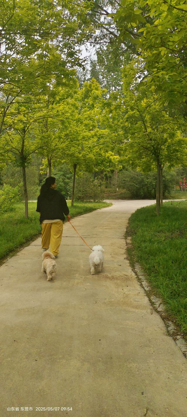 花仙谷景区旅行图片 1