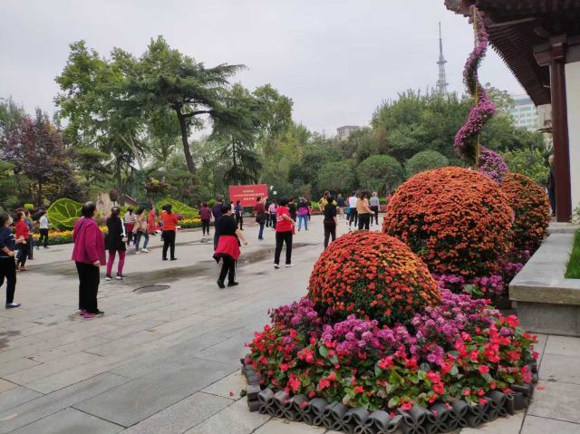 莲湖公园旅行图片 1