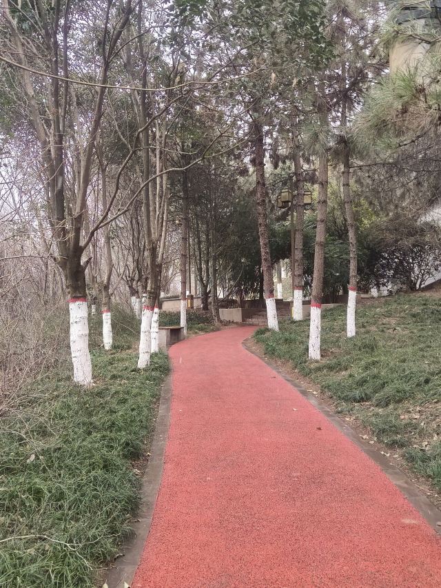 中华石鼓园旅行图片 3