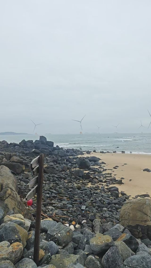龙王头海滩旅行图片 3