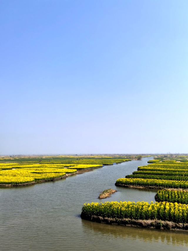 千垛景区旅行图片 2