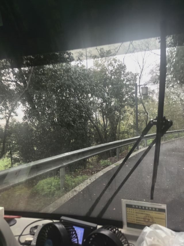 君山岛景区旅行图片 1