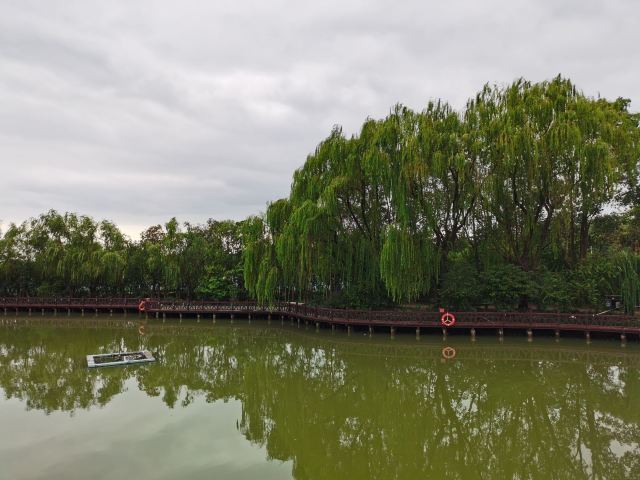 上海浦江之首旅行图片 3