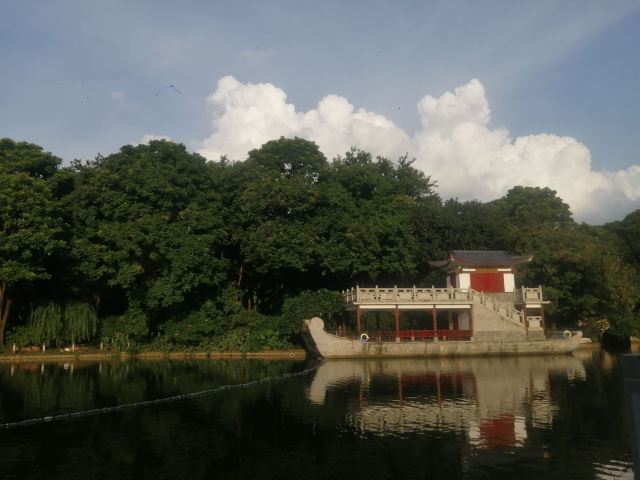 南宁市金花茶公园旅行图片 9