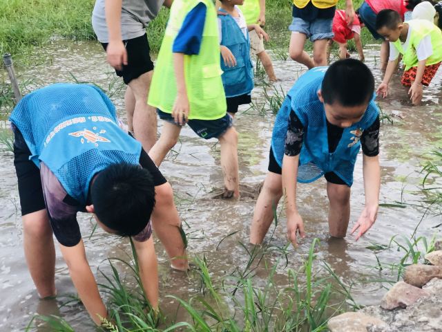 蜗牛村旅行图片 8