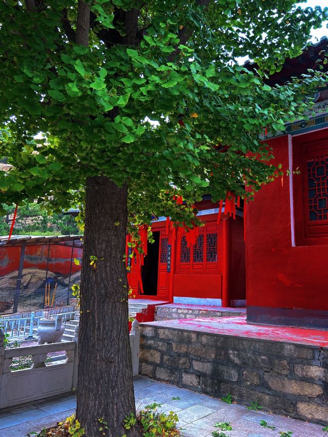 豹竹涧旅行图片 6
