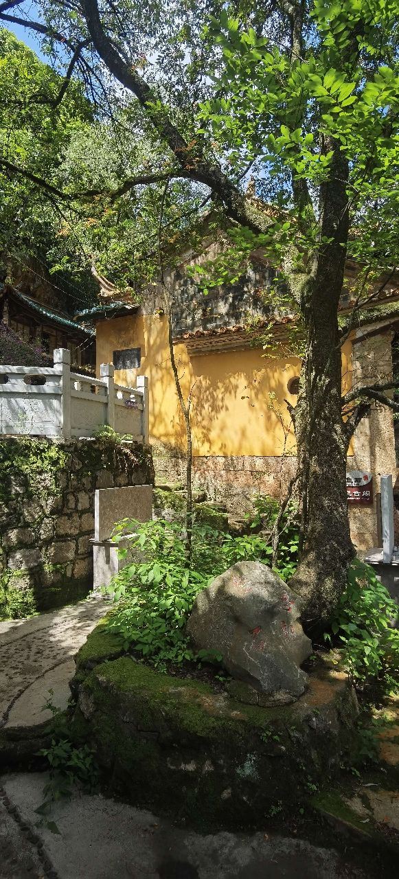 界鱼石公园旅行图片 8