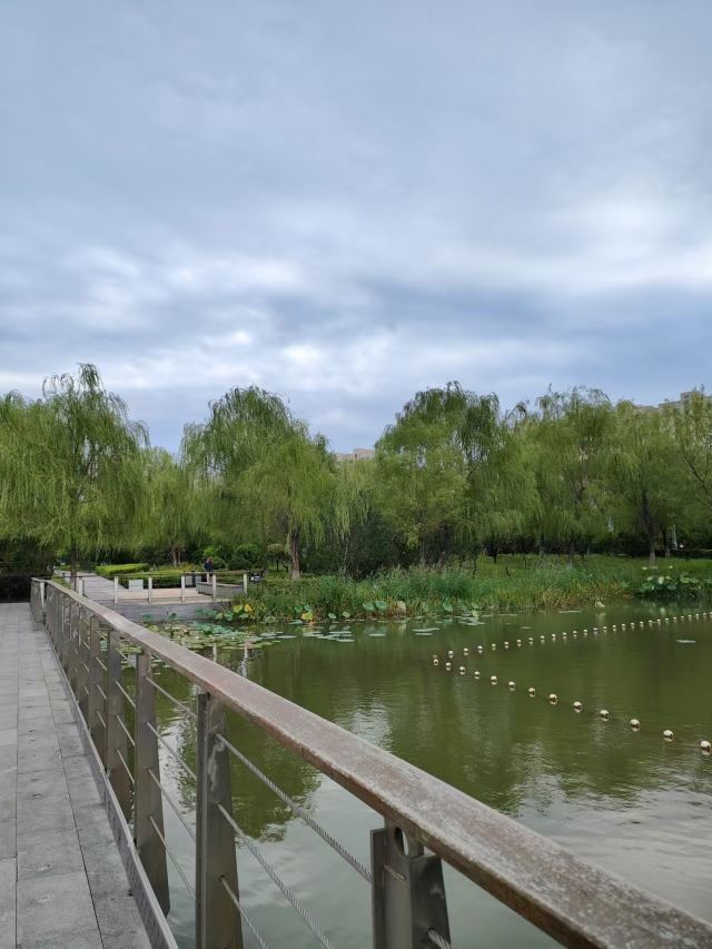 东篱公园旅行图片 3