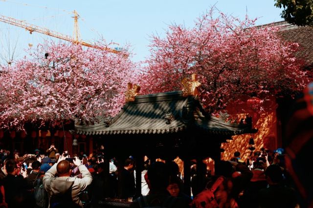 湖州铁佛寺旅行图片 3