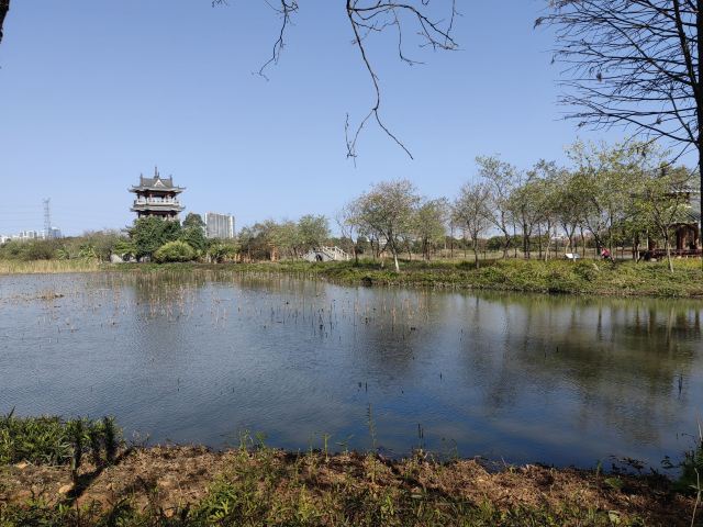 华阳湖国家湿地公园旅行图片 8