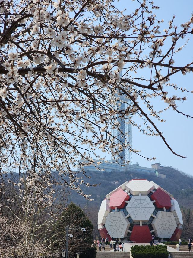 劳动公园旅行图片 2