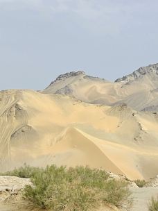 多坝沟胡杨峡景区-阿克塞-YoYo_7Z2J7N4B
