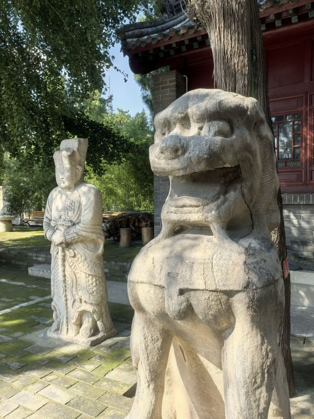 中山汉墓旅行图片 3