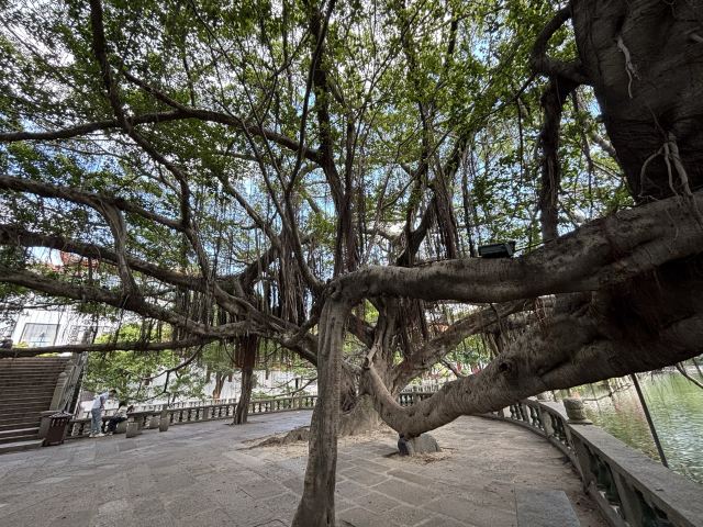 西禅古寺旅行图片 2
