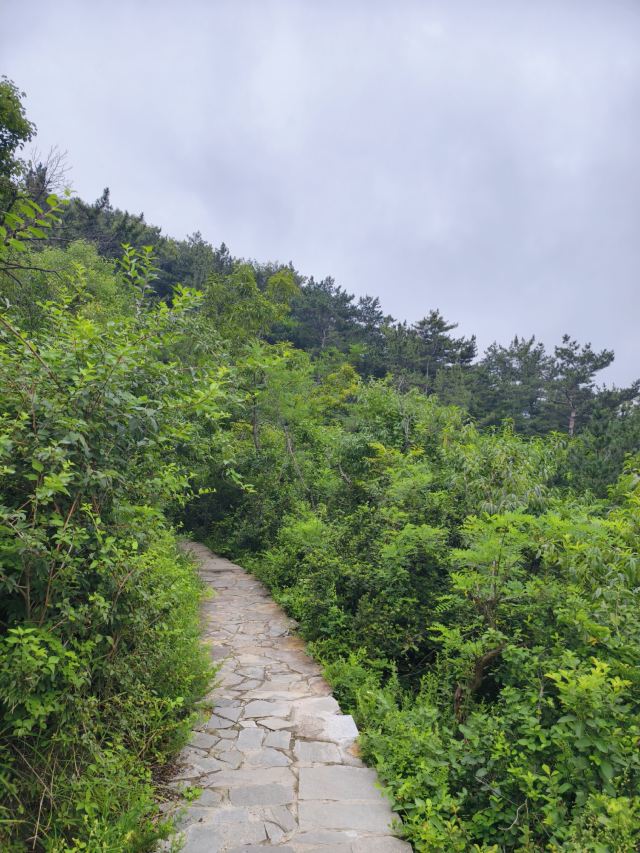白云山山体公园旅行图片 3