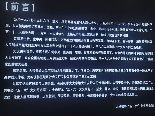 漠河旅行图片 5