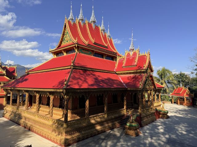 西双版纳独树成林景区旅行图片 3