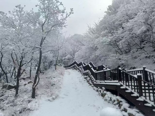 嶂石岩国家地质公园旅行图片 1