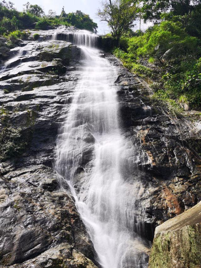 海南百花岭热带雨林文化旅游区-小卖部旅行图片 7