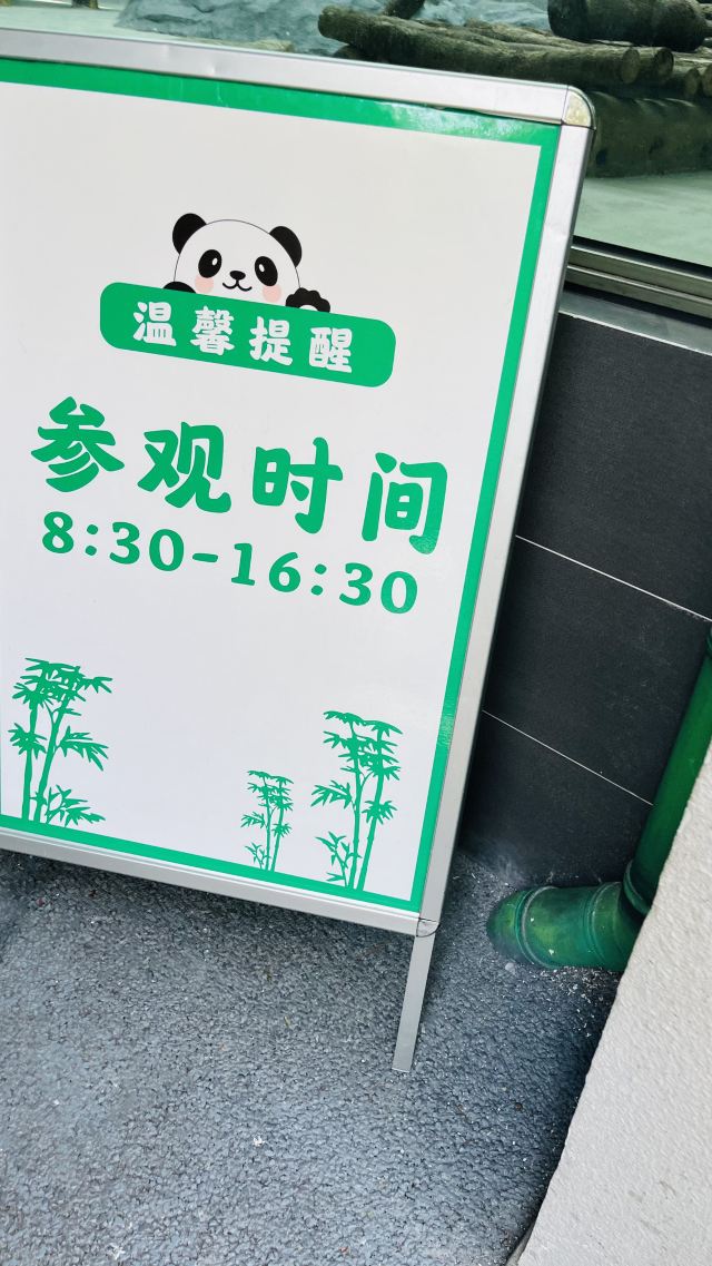 大熊猫馆旅行图片 8