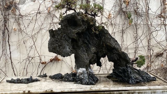 虎丘山风景区旅行图片 2