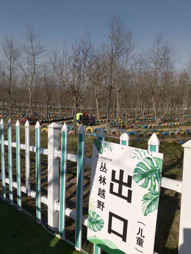南京森林大世界旅行图片 2