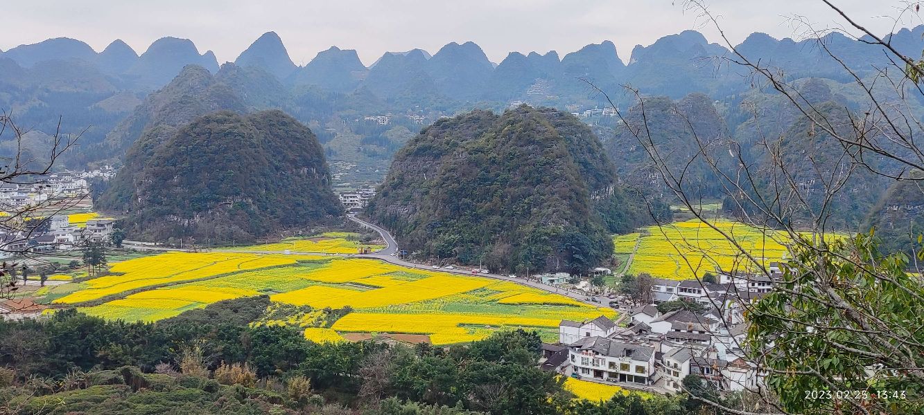 Guizhou Wanfenglin