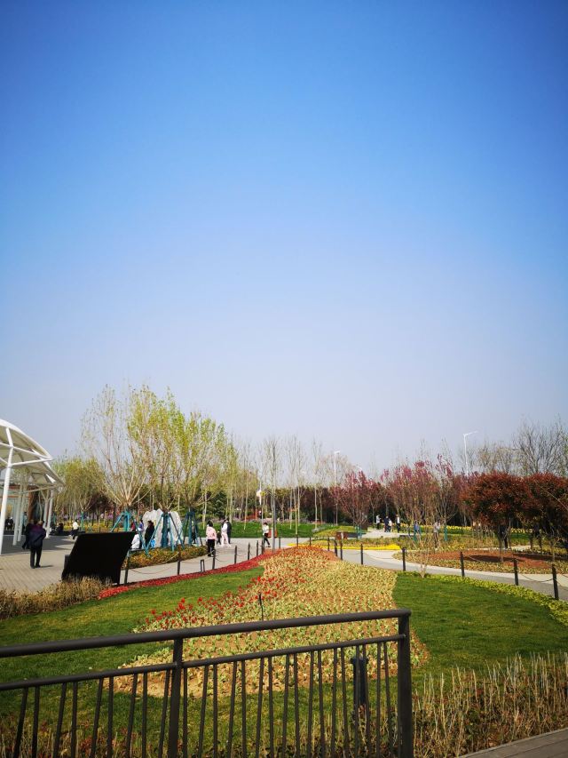 泾渭分明观景台旅行图片 13