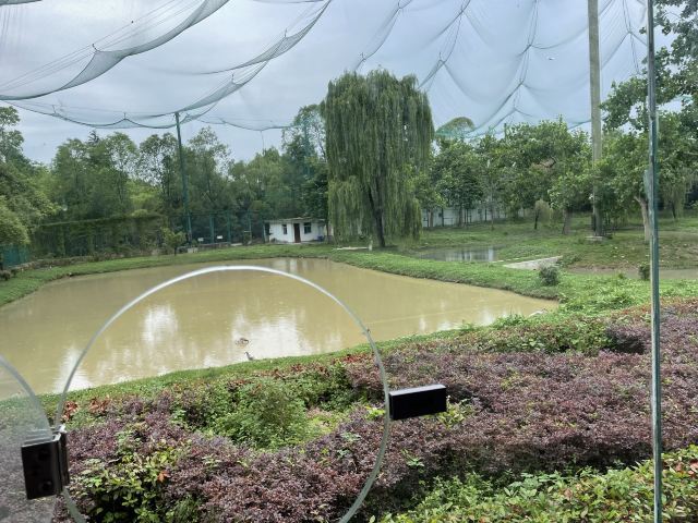 朱鹮生态园(暂停开放)旅行图片 2