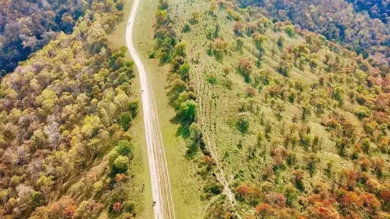 富縣秦直道遺址