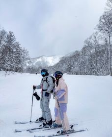 二世古町-机智的施施酱