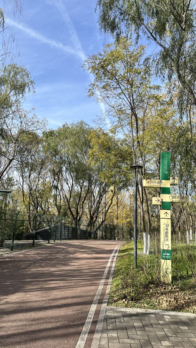 西安浐灞国家湿地公园旅行图片 2