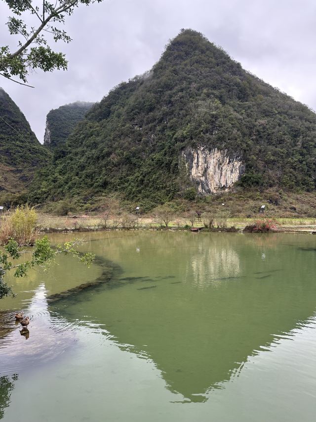 鹅泉跃鲤旅行图片 1