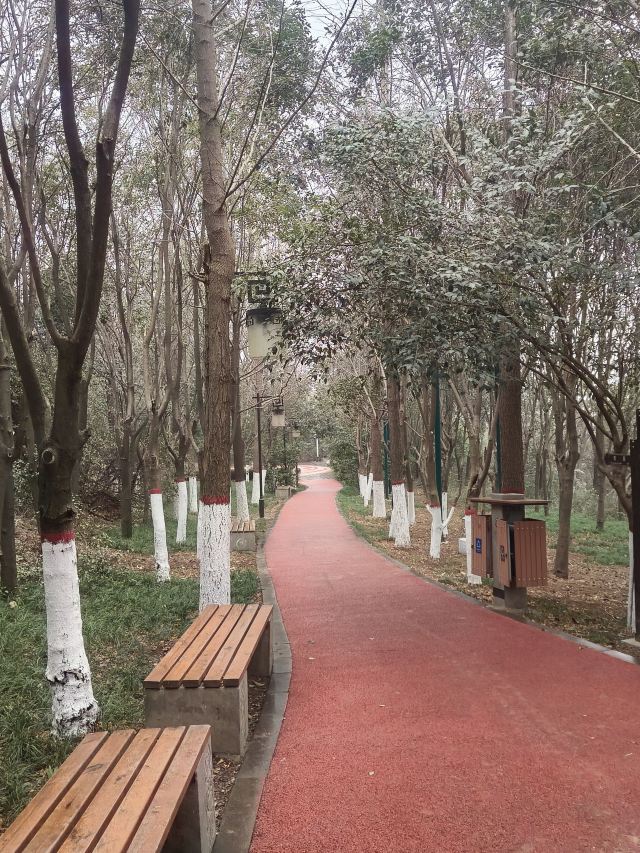 中华石鼓园旅行图片 8