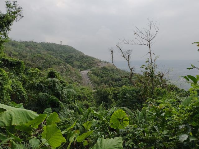 铜鼓岭景区旅行图片 5