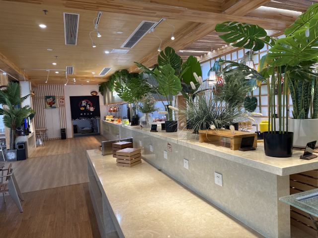 茅山森林世界旅行图片 6