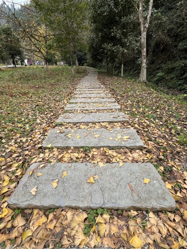 南雄帽子峰旅游景区旅行图片 6