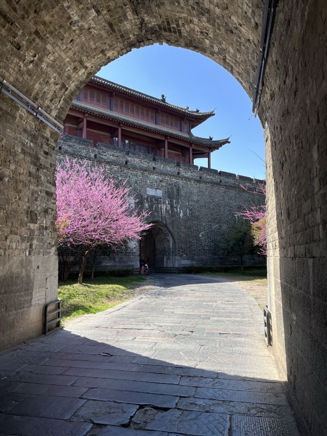 古城墙景区旅行图片 1
