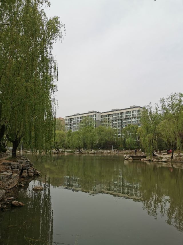 柳荫公园旅行图片 4